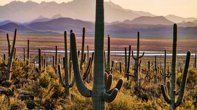 🏞️ 미사사가 파크 (사루와타리 공원) 이미지 2